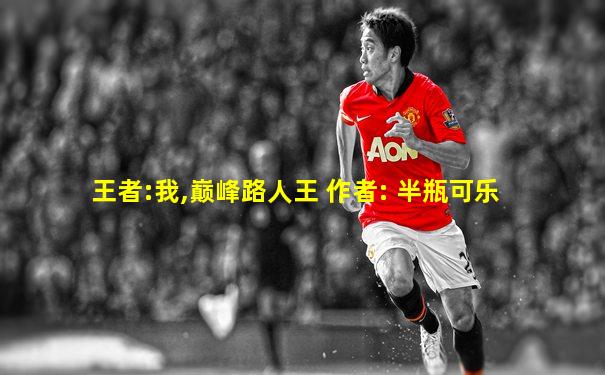 王者:我,巅峰路人王 作者: 半瓶可乐
